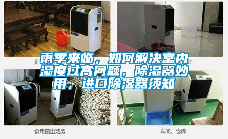 雨季來(lái)臨，如何解決室內(nèi)濕度過(guò)高問(wèn)題，除濕器妙用，進(jìn)口除濕器須知