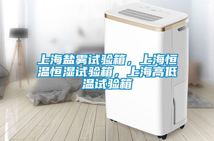 上海鹽霧試驗(yàn)箱，上海恒溫恒濕試驗(yàn)箱，上海高低溫試驗(yàn)箱
