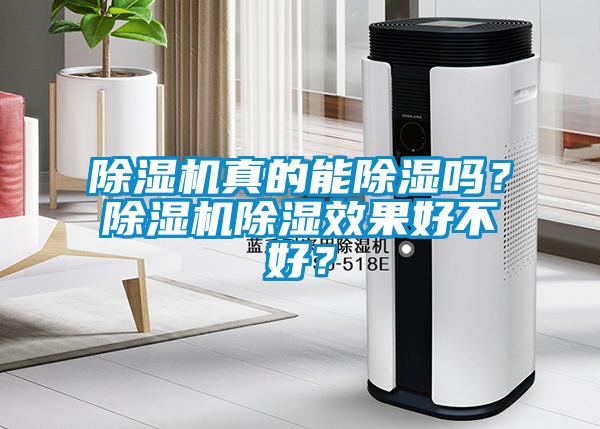 除濕機(jī)真的能除濕嗎？除濕機(jī)除濕效果好不好？