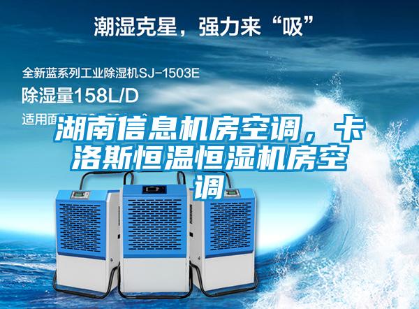 湖南信息機(jī)房空調(diào)，卡洛斯恒溫恒濕機(jī)房空調(diào)