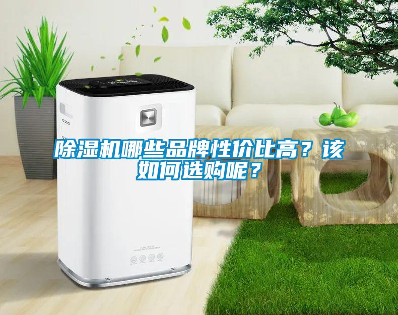 除濕機哪些品牌性價比高？該如何選購呢？