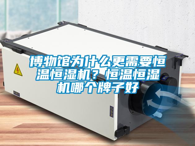 博物館為什么更需要恒溫恒濕機(jī)？恒溫恒濕機(jī)哪個牌子好