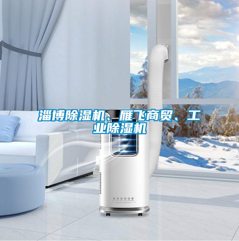 淄博除濕機(jī)、雁飛商貿(mào)、工業(yè)除濕機(jī)