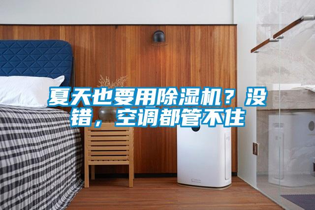 夏天也要用除濕機？沒錯，空調都管不住