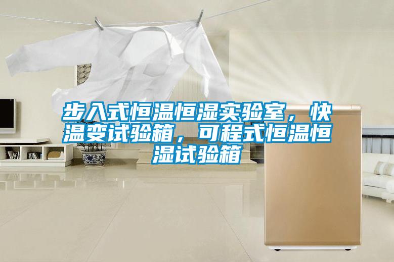 步入式恒溫恒濕實(shí)驗(yàn)室，快溫變試驗(yàn)箱，可程式恒溫恒濕試驗(yàn)箱