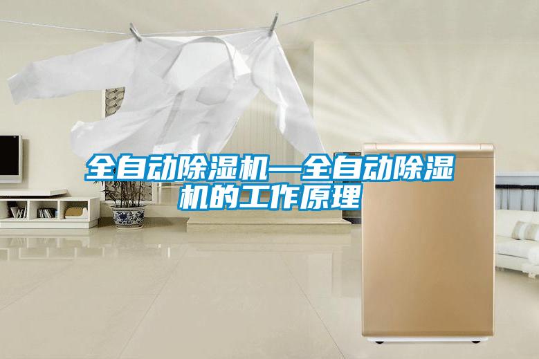 全自動除濕機(jī)—全自動除濕機(jī)的工作原理
