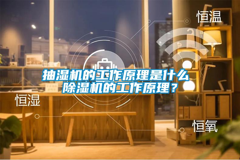 抽濕機的工作原理是什么 除濕機的工作原理？