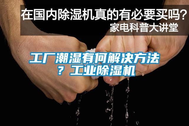 工廠潮濕有何解決方法？工業(yè)除濕機