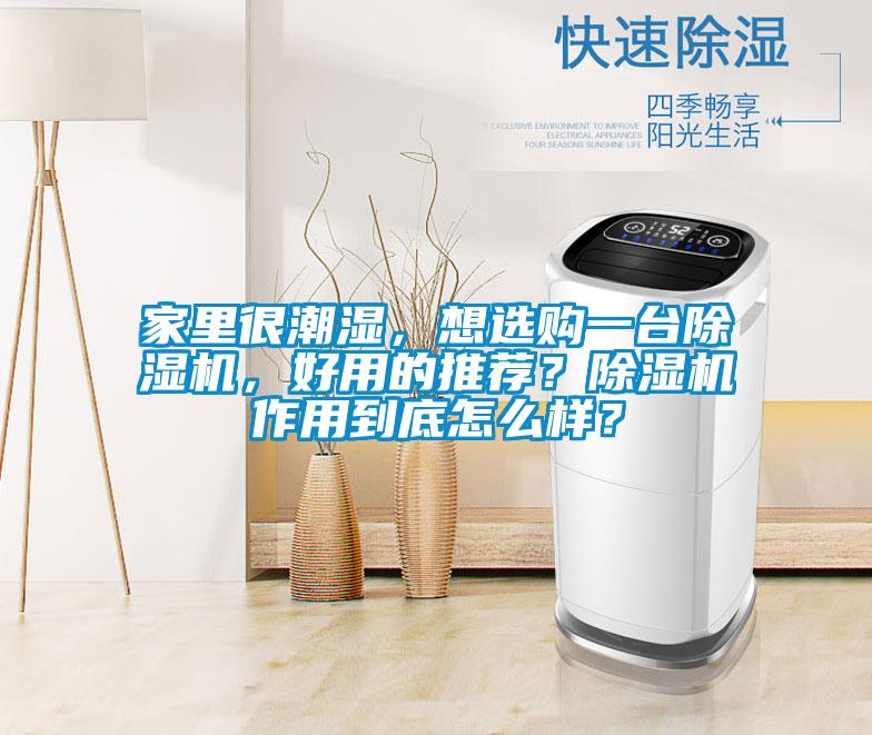 家里很潮濕，想選購(gòu)一臺(tái)除濕機(jī)，好用的推薦？除濕機(jī)作用到底怎么樣？