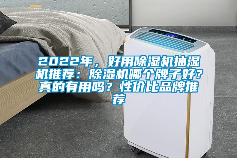 2022年，好用除濕機(jī)抽濕機(jī)推薦：除濕機(jī)哪個(gè)牌子好？真的有用嗎？性價(jià)比品牌推薦