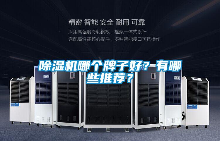 除濕機(jī)哪個(gè)牌子好？有哪些推薦？