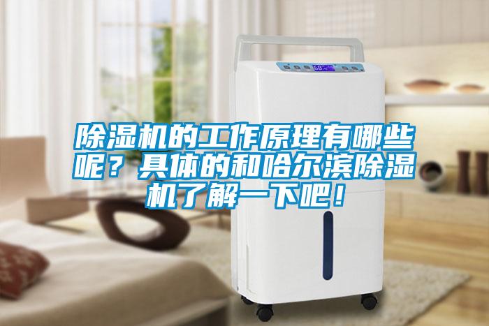除濕機(jī)的工作原理有哪些呢？具體的和哈爾濱除濕機(jī)了解一下吧！