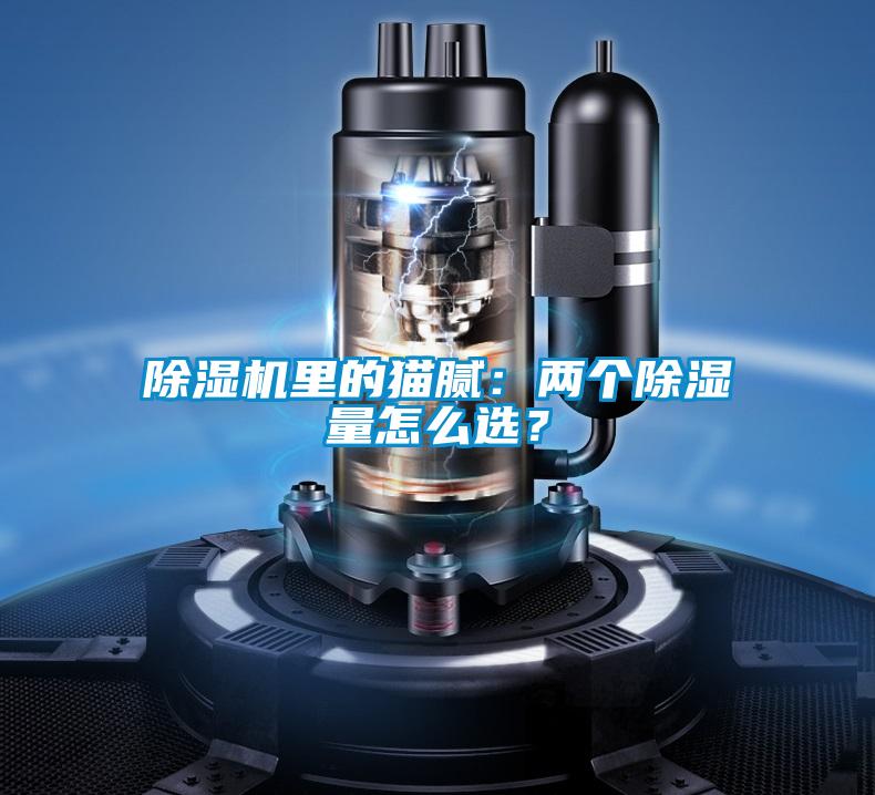 除濕機(jī)里的貓膩：兩個(gè)除濕量怎么選？
