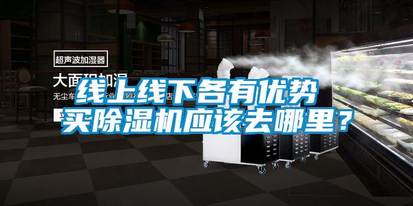 線上線下各有優(yōu)勢 買除濕機(jī)應(yīng)該去哪里？