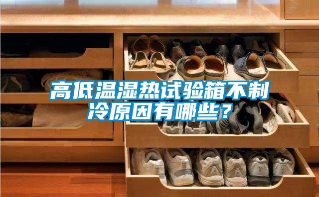 高低溫濕熱試驗箱不制冷原因有哪些？
