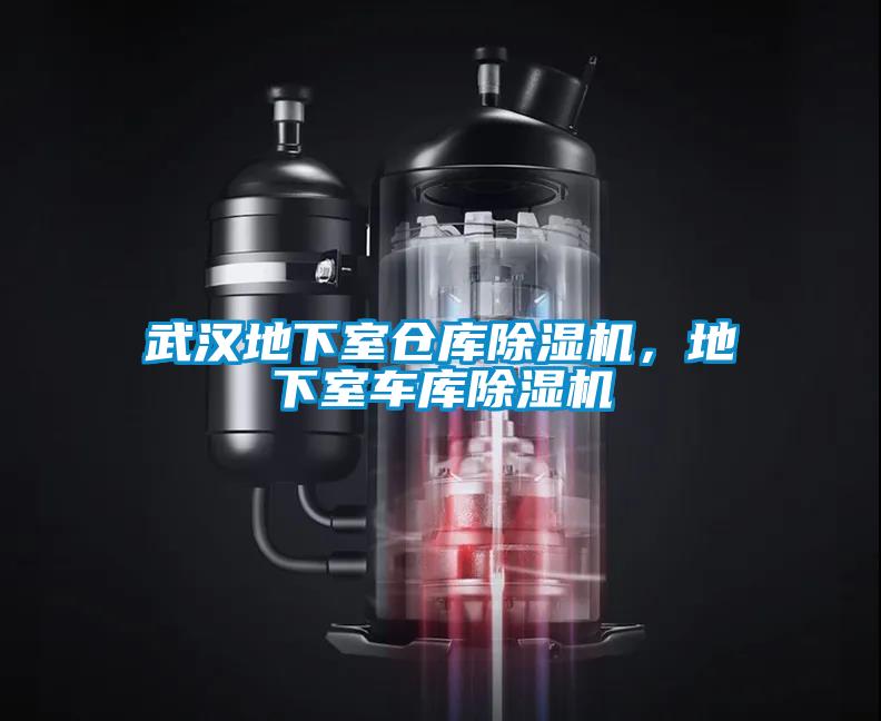 武漢地下室倉庫除濕機(jī)，地下室車庫除濕機(jī)
