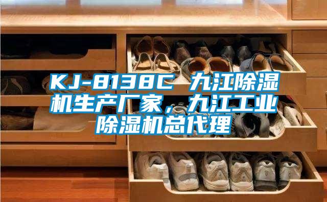 KJ-8138C 九江除濕機生產(chǎn)廠家，九江工業(yè)除濕機總代理