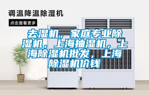 去濕機，家庭專業(yè)除濕機，上海抽濕機，上海除濕機批發(fā)，上海除濕機價錢