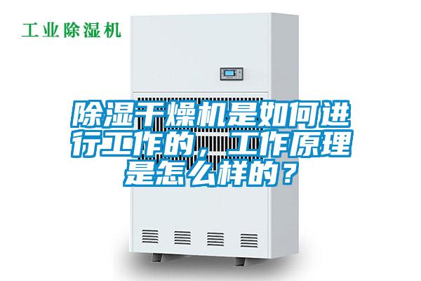 除濕干燥機是如何進行工作的，工作原理是怎么樣的？