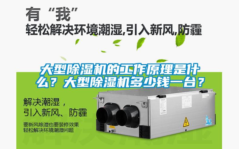 大型除濕機(jī)的工作原理是什么？大型除濕機(jī)多少錢(qián)一臺(tái)？