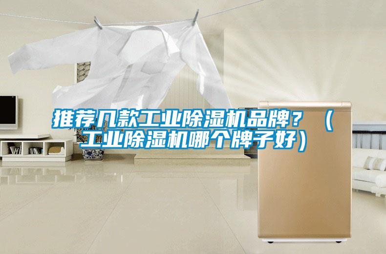 推薦幾款工業(yè)除濕機品牌？（工業(yè)除濕機哪個牌子好）