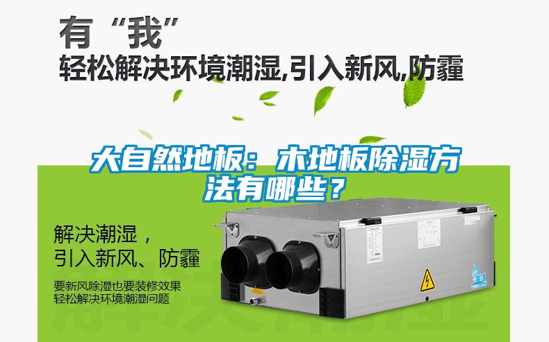 大自然地板：木地板除濕方法有哪些？