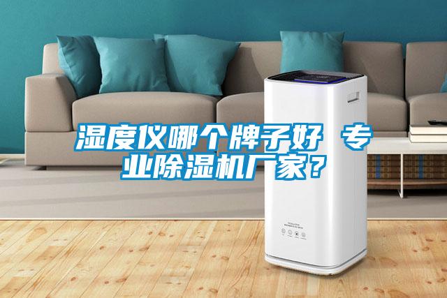 濕度儀哪個牌子好 專業除濕機廠家？