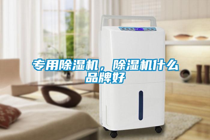 專用除濕機(jī)，除濕機(jī)什么品牌好