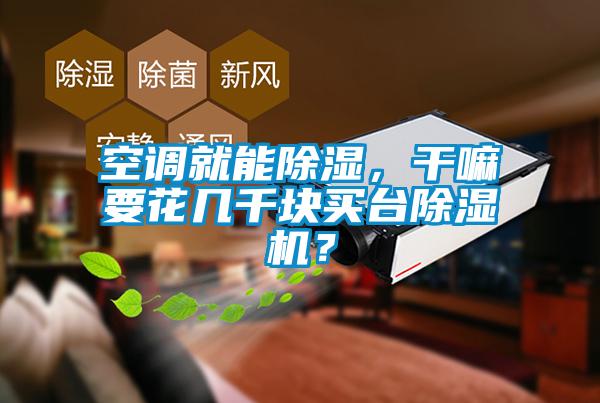 空調就能除濕，干嘛要花幾千塊買臺除濕機？
