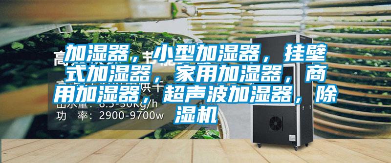 加濕器，小型加濕器，掛壁式加濕器，家用加濕器，商用加濕器，超聲波加濕器，除濕機(jī)