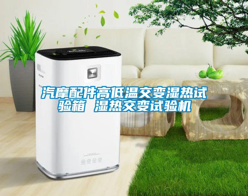 汽摩配件高低溫交變濕熱試驗箱 濕熱交變試驗機(jī)