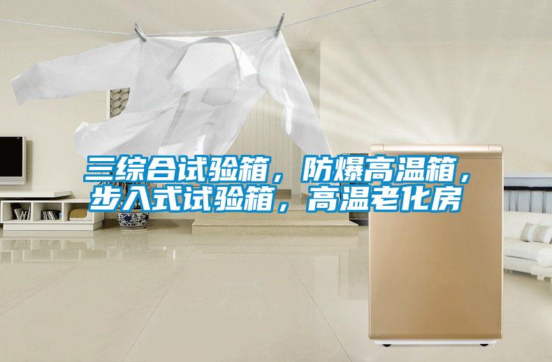 三綜合試驗(yàn)箱，防爆高溫箱，步入式試驗(yàn)箱，高溫老化房
