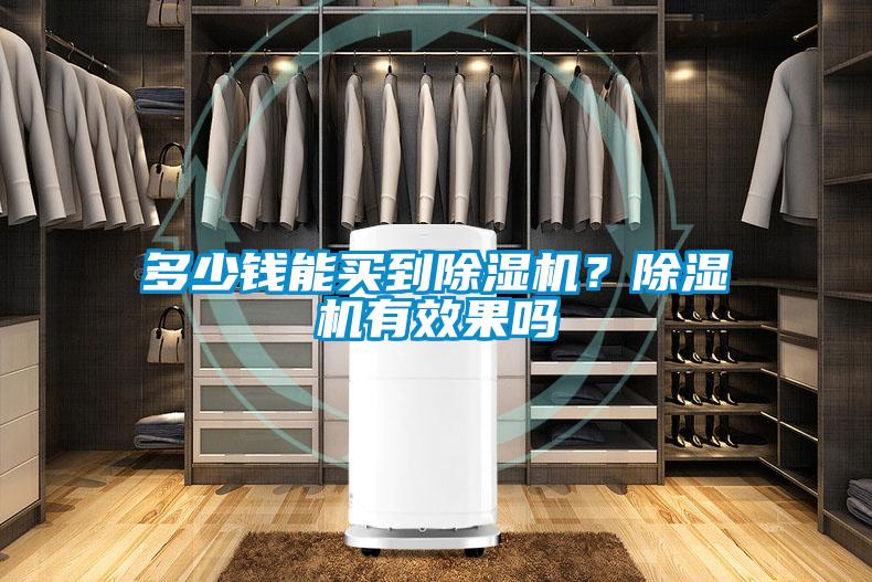 多少錢能買到除濕機(jī)？除濕機(jī)有效果嗎
