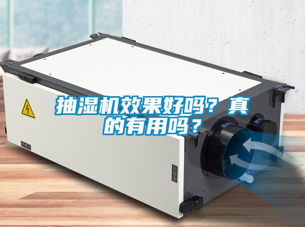抽濕機效果好嗎？真的有用嗎？