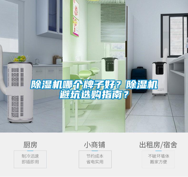 除濕機(jī)哪個牌子好？除濕機(jī)避坑選購指南？