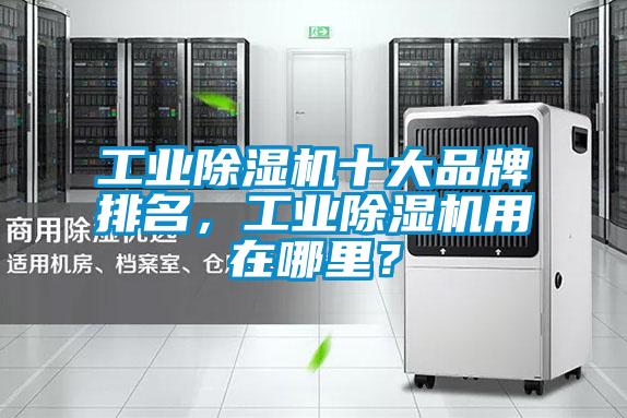 工業(yè)除濕機(jī)十大品牌排名，工業(yè)除濕機(jī)用在哪里？