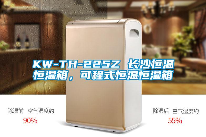 KW-TH-225Z 長(zhǎng)沙恒溫恒濕箱，可程式恒溫恒濕箱