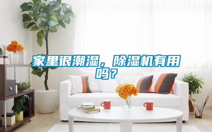 家里很潮濕，除濕機有用嗎？