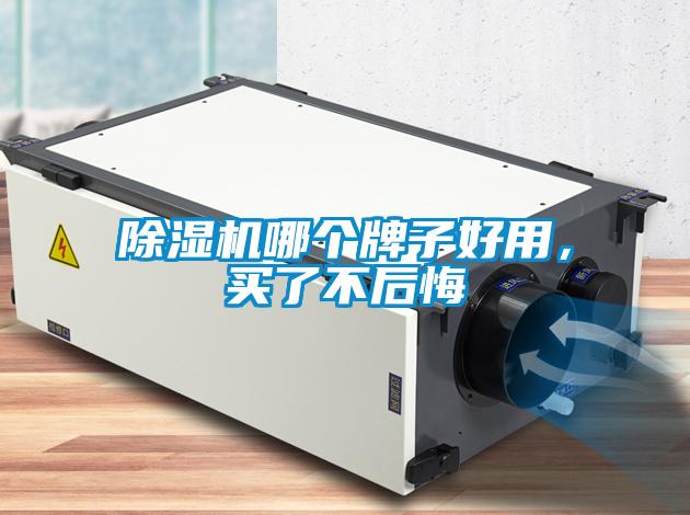 除濕機(jī)哪個(gè)牌子好用，買了不后悔