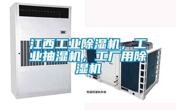 江西工業除濕機，工業抽濕機，工廠用除濕機