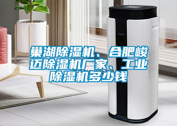 巢湖除濕機、合肥峻邁除濕機廠家、工業除濕機多少錢