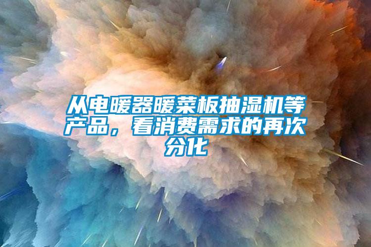 從電暖器暖菜板抽濕機(jī)等產(chǎn)品，看消費(fèi)需求的再次分化