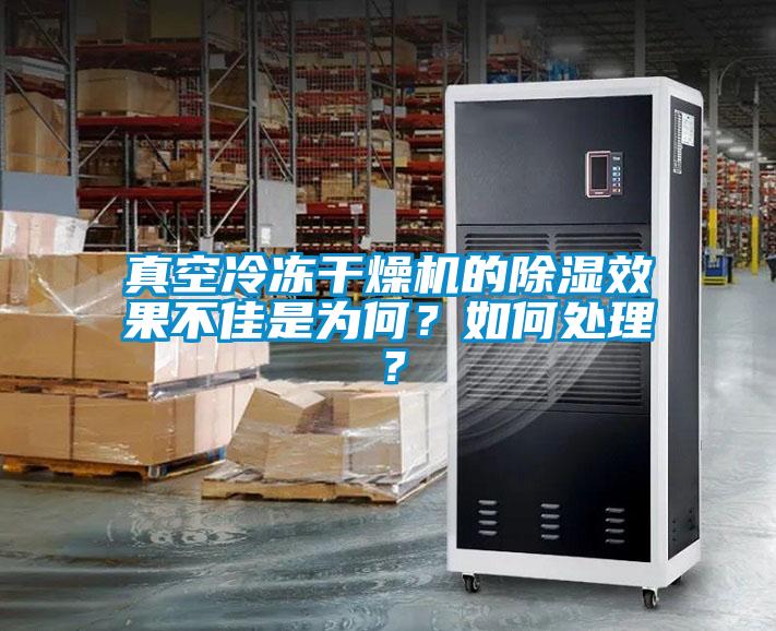 真空冷凍干燥機(jī)的除濕效果不佳是為何？如何處理？