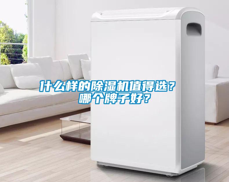 什么樣的除濕機(jī)值得選？ 哪個(gè)牌子好？