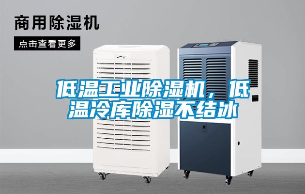 低溫工業(yè)除濕機，低溫冷庫除濕不結冰