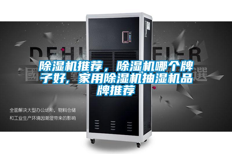 除濕機(jī)推薦，除濕機(jī)哪個(gè)牌子好, 家用除濕機(jī)抽濕機(jī)品牌推薦