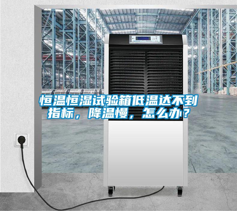 恒溫恒濕試驗箱低溫達不到指標(biāo)，降溫慢，怎么辦？