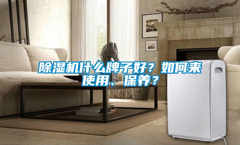 除濕機(jī)什么牌子好？如何來(lái)使用、保養(yǎng)？