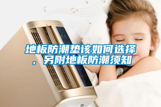地板防潮墊該如何選擇，另附地板防潮須知
