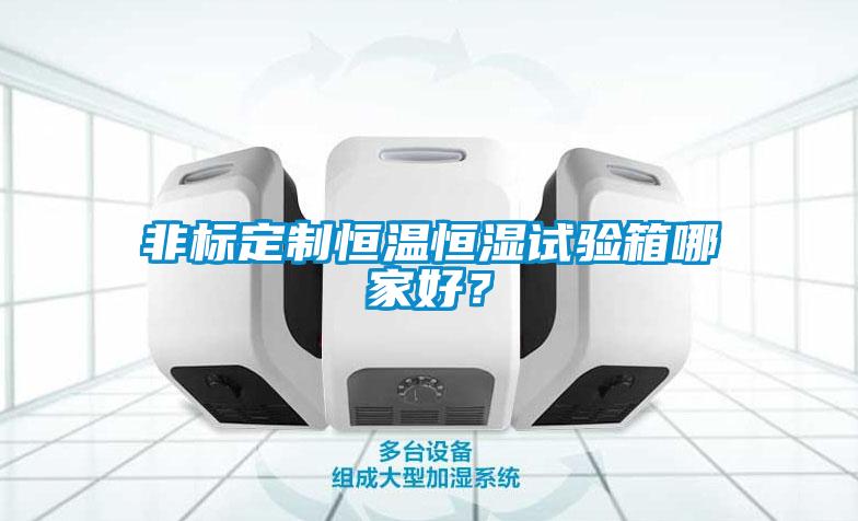 非標(biāo)定制恒溫恒濕試驗(yàn)箱哪家好？